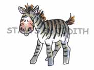 H-47 Med. Zebra